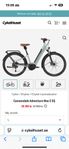 Cannondale Adventure Neo 2 EQ 