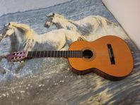 Gitarr Admira/Paloma.