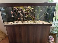 Akvarium Juwel Rio 450