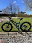 scott roxter 20 tum