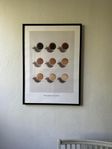 Poster inkl ram - ”Nine shades of coffee”