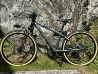 Rockrider Mountain bike ST920 24'' 