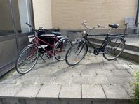 SKANDIC DAMCYKEL / TUNTURI AKSELI HERRCYKEL