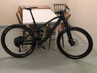 Canyon Neuron Al 7.0 