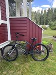 cruiser-cykel