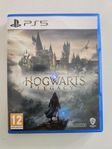 Hogwarts Legacy PS5 spel