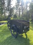 cargobike flex 