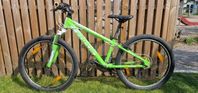FOCUS Raven Rookie 24''