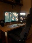 Extremt påkostad gamingsetup