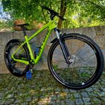 Mountainbike 29
