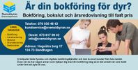 Är din bokföring för dyr?