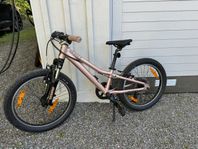 Scott Contessa 20