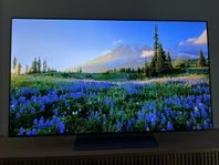 LG 55" C3 4K OLED evo Smart TV (2023) w/receipt