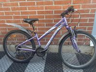 Specialized Hotrock 24 