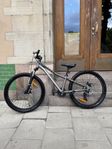 Mountain bike 22 tum
