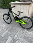 Scott Gambler 730
