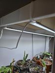 Nelson Garden växtlampor (85 cm) 6 stycken 