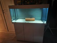 Juwel 180L led Axelot