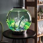 Väldigt Billigt 60L Akvarium med "ALLA" Tillbehör! BVSA!!!
