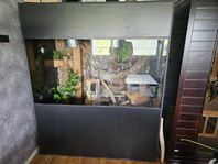 Terrarium modell större