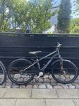 cykel 