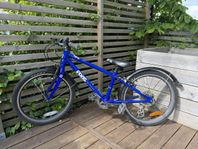 Frog 53 cykel 20”