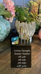 Lorenzo Pazzaglia Summer Hammer - SAMPLE