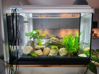 Juwel Akvarium 70L