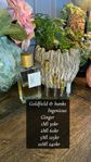 Goldfield & Banks Ingenious Ginger - SAMPLE