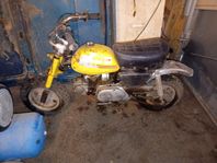 Monkey bike