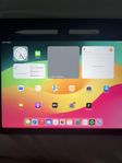 IPad Air (Femte generation) + Apple pen