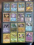 Pokémon 