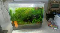 komplett fluval flex 57l