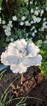 Blomma/dekoration 