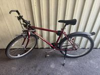 Cykel