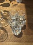 5 st shotglas