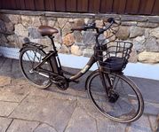 Ecoride Ambassador 28. 3vxl