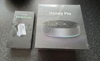 Homey PRO