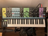Moog Matriarch