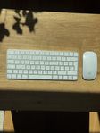 Apple Magic Keyboard och Mouse 2 