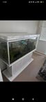 akvarium 