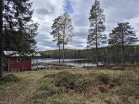 Fäbod i Dalarna nära Hofors