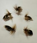 Europa 12 – 5-pack – #12 – handbunden torrfluga i topp