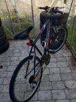 Juniorcykel