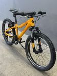 Bergamont 20”