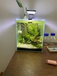 20 liters akvarium 