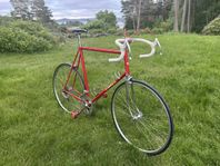 Vintage racer Viner med Campagnolo