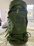 Ryggsäck Osprey Atmos AG 65 (L/XL)