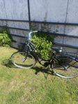 Cykel