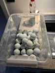 Golfbollar PRO V1